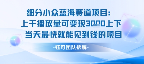 小众蓝海赛道项目：当天变现1k+适合新手操作 +适合长期玩网赚库-项目库-轻创网-中创网-福缘网-冒泡网-资源之家-AI光年冉冉网赚资源