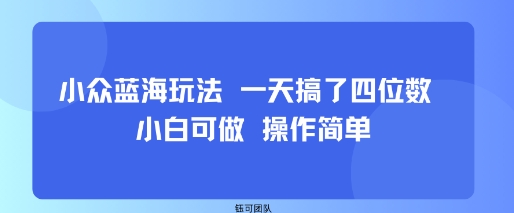 小众蓝海玩法 一天搞了四位数 小白可做 操作简单网赚库-项目库-轻创网-中创网-福缘网-冒泡网-资源之家-AI光年冉冉网赚资源