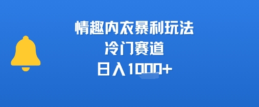 情趣内衣暴利玩法，冷门赛道，日入1k+网赚库-项目库-轻创网-中创网-福缘网-冒泡网-资源之家-AI光年冉冉网赚资源