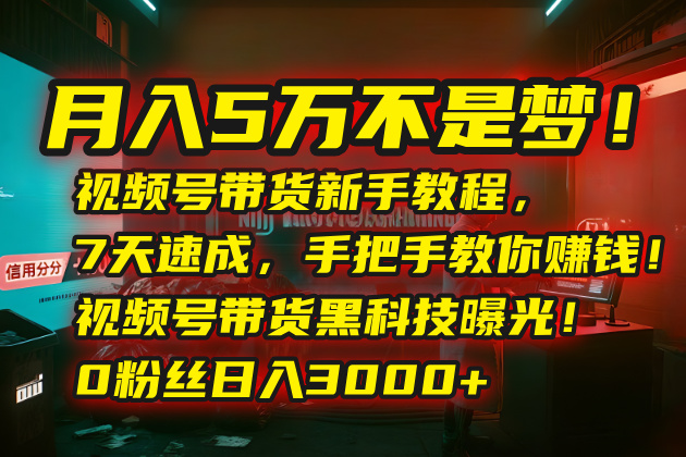 月入5万不是梦！视频号带货新手教程，7天速成，手把手教你赚钱！视频号…网赚库-项目库-轻创网-中创网-福缘网-冒泡网-资源之家-AI光年冉冉网赚资源