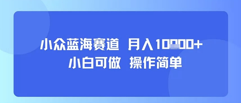 小众蓝海赛道，小白可做，操作简单，每天30分钟，月入1W+网赚库-项目库-轻创网-中创网-福缘网-冒泡网-资源之家-AI光年冉冉网赚资源