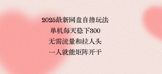 2025最新网盘自撸玩法，单机每天稳下3张，无需流量和拉人头，一个人就可轻松矩阵，全网独一份【揭秘】网赚库-项目库-轻创网-中创网-福缘网-冒泡网-资源之家-AI光年冉冉网赚资源