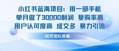 小红书蓝海项目，一部手机单月做了3W利润，小白也能月入过1W用户认可度高成交多网赚库-项目库-轻创网-中创网-福缘网-冒泡网-资源之家-AI光年冉冉网赚资源
