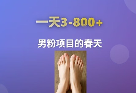 AI一键生成美女素材，一天收益3-8张，男粉项目的春天网赚库-项目库-轻创网-中创网-福缘网-冒泡网-资源之家-AI光年冉冉网赚资源
