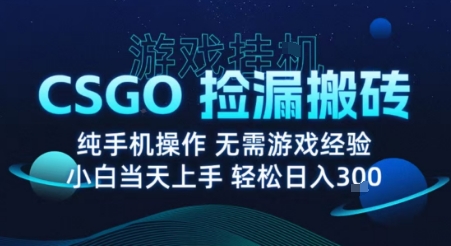 8月最新游戏搬砖，CSGO纯挂G，不需要玩游戏，实现真挂G，月入1W+【揭秘】网赚库-项目库-轻创网-中创网-福缘网-冒泡网-资源之家-AI光年冉冉网赚资源