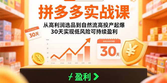 拼多多实战课：从高利润选品到自然流高投产起爆 30天实现低风险可持续盈利网赚库-项目库-轻创网-中创网-福缘网-冒泡网-资源之家-AI光年冉冉网赚资源