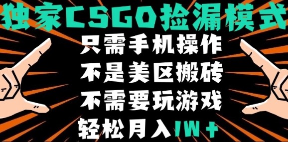 CSGO自动捡漏项目，最新独家玩法，不是美区搬砖，不需要了解和玩游戏，新手小白轻松月入1W+【揭秘】网赚库-项目库-轻创网-中创网-福缘网-冒泡网-资源之家-AI光年冉冉网赚资源
