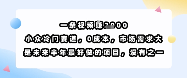 一条视频挣1k，小众冷门赛道，0成本，市场需求大，是未来半年最好做的项目，没有之一网赚库-项目库-轻创网-中创网-福缘网-冒泡网-资源之家-AI光年冉冉网赚资源