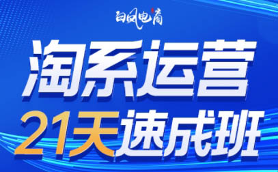 白凤电商·淘系运营21天速成班(更新7月)网赚库-项目库-轻创网-中创网-福缘网-冒泡网-资源之家-AI光年冉冉网赚资源