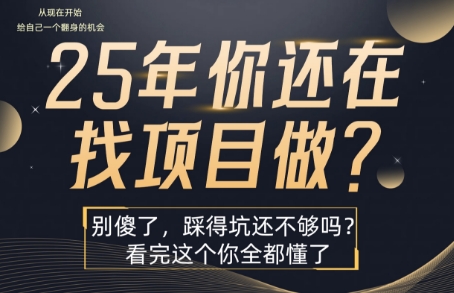 25年，你还在疯狂的找项目吗？别傻了，看完这个你都懂了【揭秘】网赚库-项目库-轻创网-中创网-福缘网-冒泡网-资源之家-AI光年冉冉网赚资源