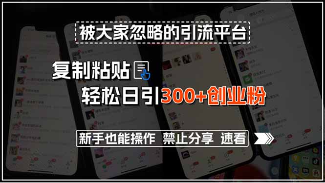 被大家忽略的引流平台，复制粘贴轻松日引300+创业粉，新手也能操作，禁…网赚库-项目库-轻创网-中创网-福缘网-冒泡网-资源之家-AI光年冉冉网赚资源