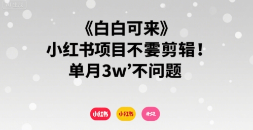小白可来 小红书项目不需要剪辑 单月3w不是问题网赚库-项目库-轻创网-中创网-福缘网-冒泡网-资源之家-AI光年冉冉网赚资源