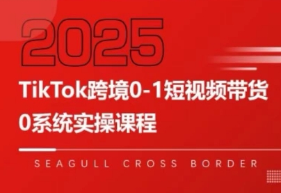 大亿老师·TikTok跨境0-1短视频带货网赚库-项目库-轻创网-中创网-福缘网-冒泡网-资源之家-AI光年冉冉网赚资源