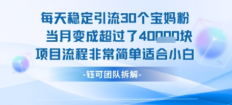 每天稳定引流30个人 当月变成超过了4个W项目流程非常简单适合小白网赚库-项目库-轻创网-中创网-福缘网-冒泡网-资源之家-AI光年冉冉网赚资源