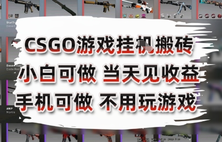 CSGO游戏挂G搬砖，小白纯手机即可操作，不用电脑打游戏，日入3张+，副业网创项目【揭秘】网赚库-项目库-轻创网-中创网-福缘网-冒泡网-资源之家-AI光年冉冉网赚资源