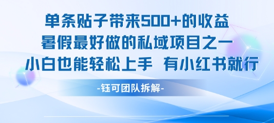 单条贴子带来5张的收益，暑假最好做的私域项目之一，小白也能轻松上手，有小红书就行网赚库-项目库-轻创网-中创网-福缘网-冒泡网-资源之家-AI光年冉冉网赚资源