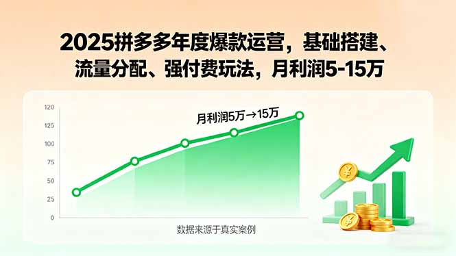 2025拼多多年度爆款运营，基础搭建、流量分配、强付费玩法，月利润5-15万网赚库-项目库-轻创网-中创网-福缘网-冒泡网-资源之家-AI光年冉冉网赚资源