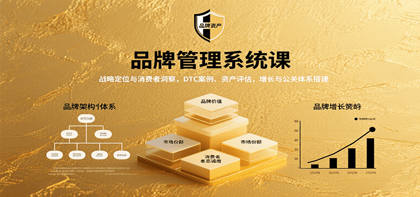 品牌管理系统课：战略定位与消费者洞察，DTC案例、资产评估，增长与公关体系搭建网赚库-项目库-轻创网-中创网-福缘网-冒泡网-资源之家-AI光年冉冉网赚资源