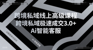 跨境私域线上高级课程，跨境私域极速成交3.0+Ai智能客服网赚库-项目库-轻创网-中创网-福缘网-冒泡网-资源之家-AI光年冉冉网赚资源