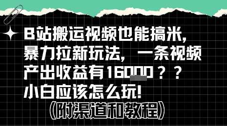 b站掘金计划？搬运视频也能挣拉新的收益，小白应该怎么玩！网赚库-项目库-轻创网-中创网-福缘网-冒泡网-资源之家-AI光年冉冉网赚资源