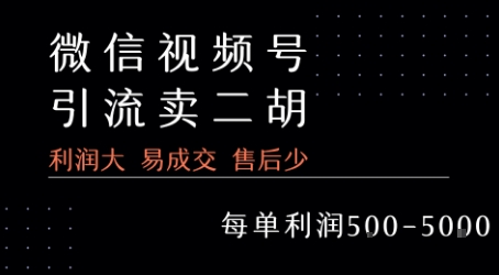 视频号卖二胡教程，利润大 易成交 售后少，一单利润5张+网赚库-项目库-轻创网-中创网-福缘网-冒泡网-资源之家-AI光年冉冉网赚资源