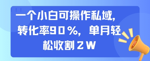 一个小白可操作私域，转化率90%，单月轻松收割2W网赚库-项目库-轻创网-中创网-福缘网-冒泡网-资源之家-AI光年冉冉网赚资源