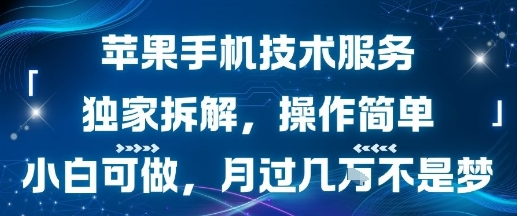 苹果手机技术服务，独家拆解，操作简单，小白可做，月过1W不是梦网赚库-项目库-轻创网-中创网-福缘网-冒泡网-资源之家-AI光年冉冉网赚资源