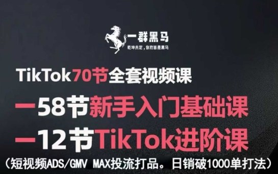 TikTok全套视频课，新手入门+进阶课，短视频ADS-GMV MAX投流打品，日销破1000单打法网赚库-项目库-轻创网-中创网-福缘网-冒泡网-资源之家-AI光年冉冉网赚资源
