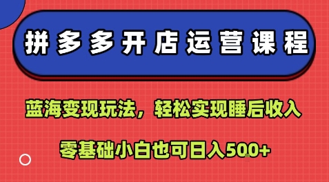 拼多多开店运营课程：蓝海变现玩法，轻松实现睡后收入，零基础小白也可日入5张网赚库-项目库-轻创网-中创网-福缘网-冒泡网-资源之家-AI光年冉冉网赚资源