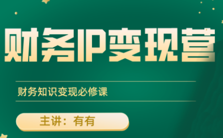 有有老师·财务IP变现营，财务知识变现必修课网赚库-项目库-轻创网-中创网-福缘网-冒泡网-资源之家-AI光年冉冉网赚资源